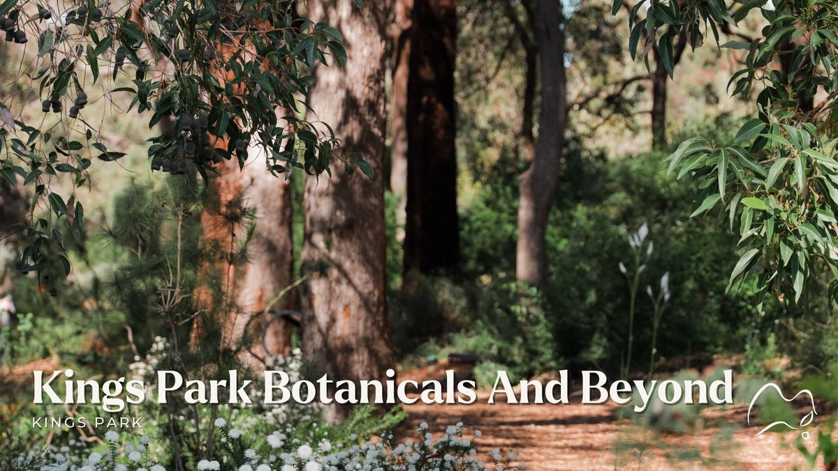 Kings Park Botanicals And Beyond Guided Hike