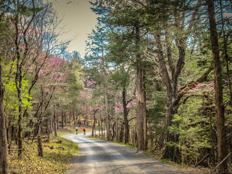 Harris-Roubaix - A Celebration of Unpaved Roads