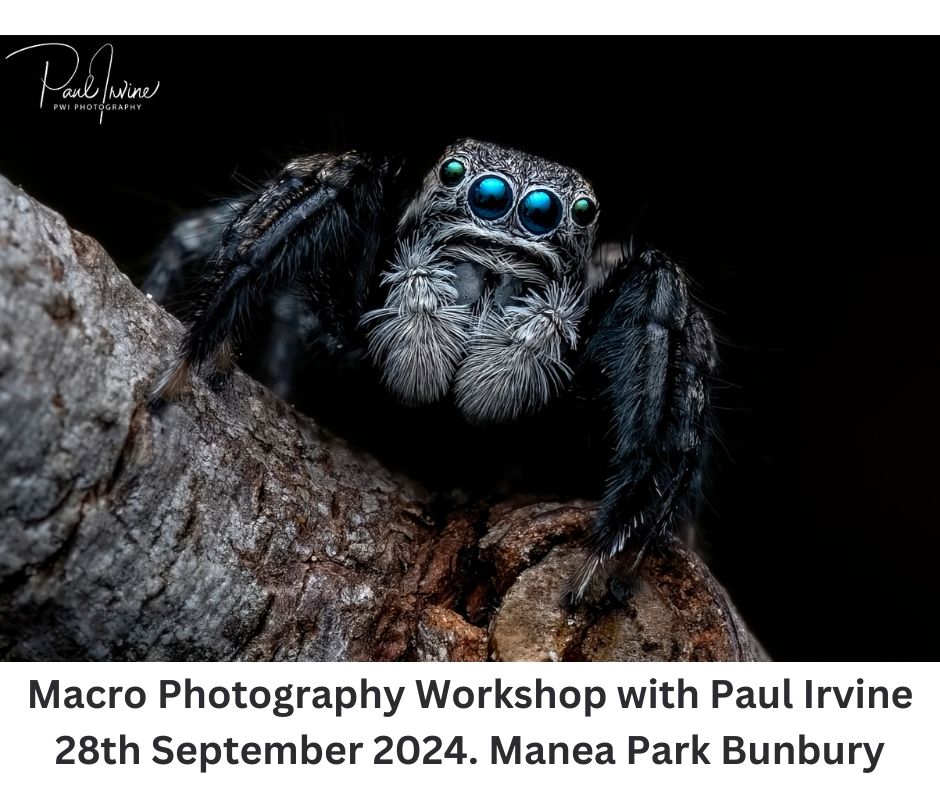 Macro Photography @ Manea Park Bunbury