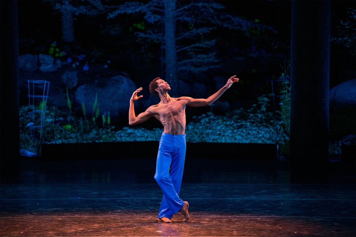 Parking Swan Lake by International Ballet Stars - Athens