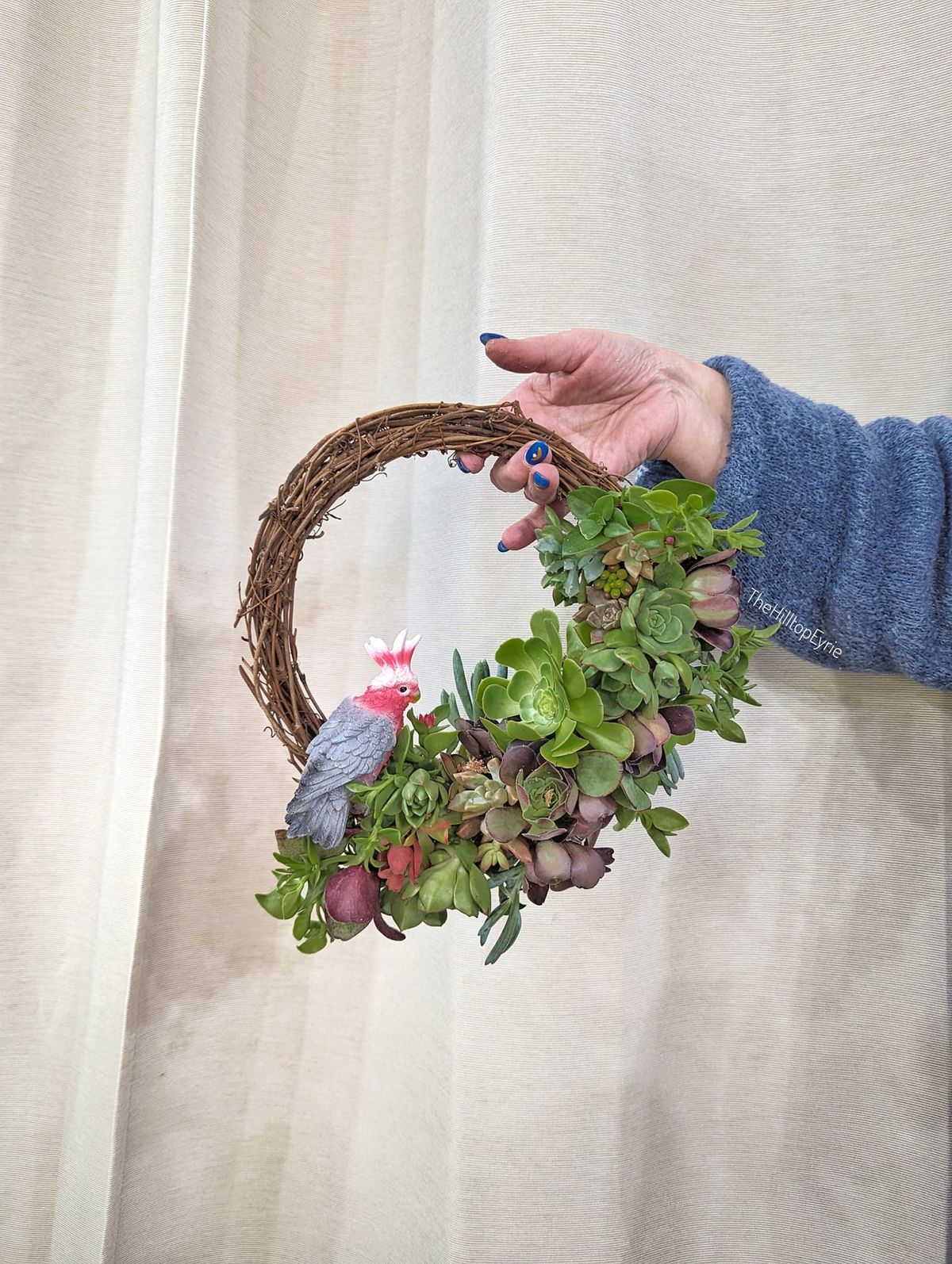 Christmas Succulent Wreath Workshop