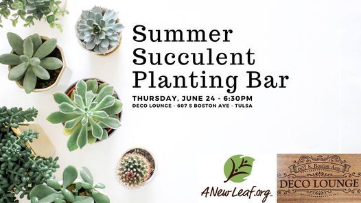 Summer Succulent Planting Bar at Deco Lounge