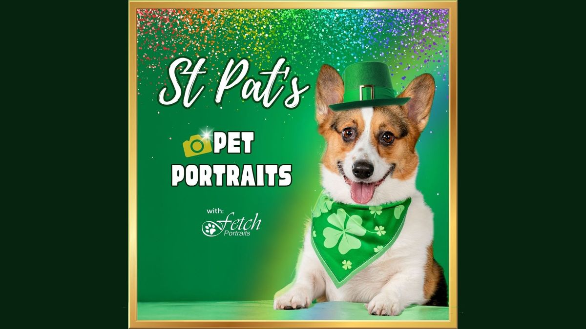 St Pat's\ud83c\udf40\ud83d\udc3ePet Portraits - Naperville, IL