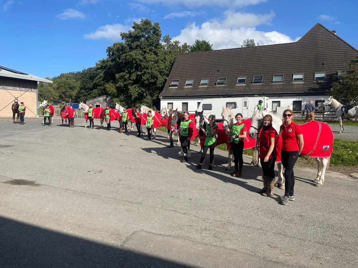 Wales Endurance Team AGM