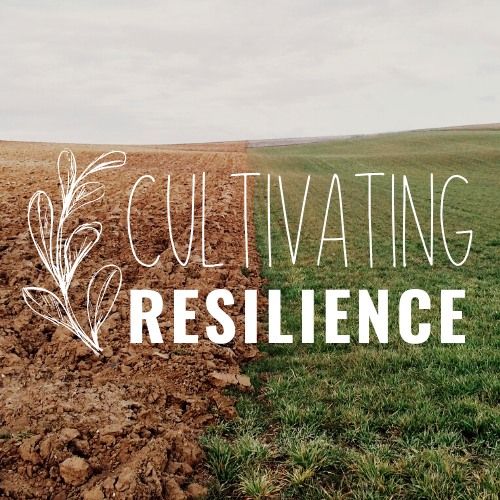 2025 Cultivating Resilience Winter Conference