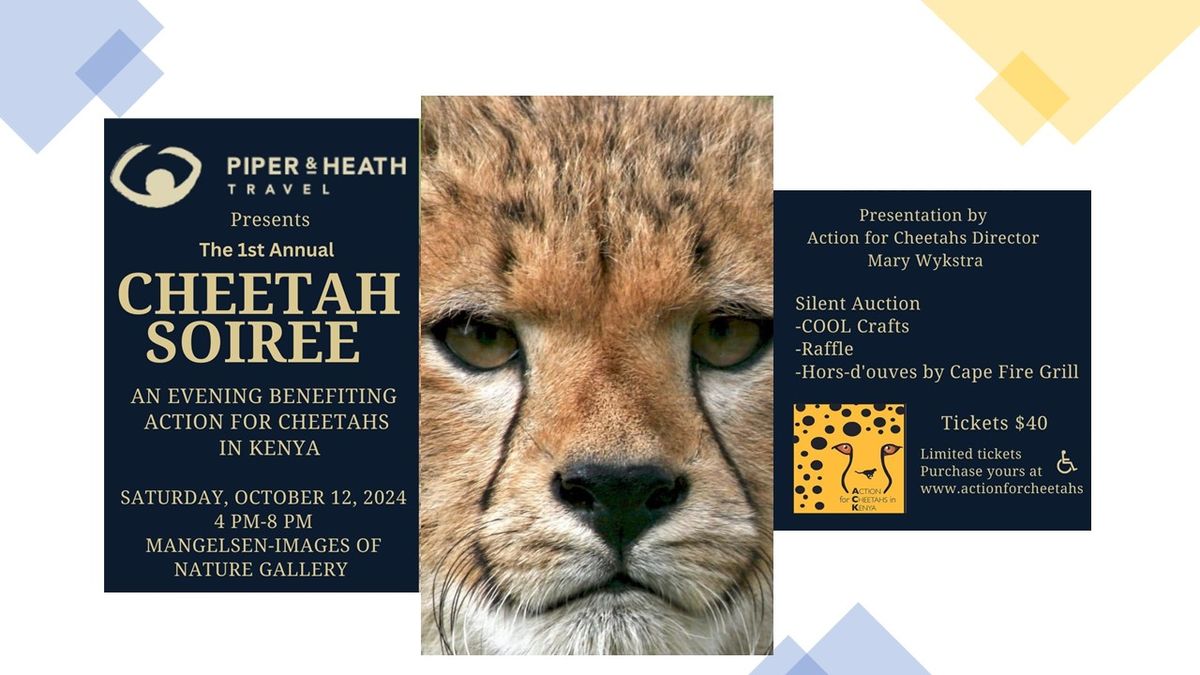 San Diego Cheetah Soiree