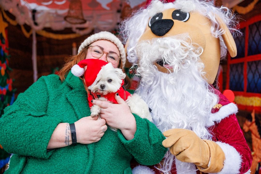 Santa\u2019s Grotto for Dogs