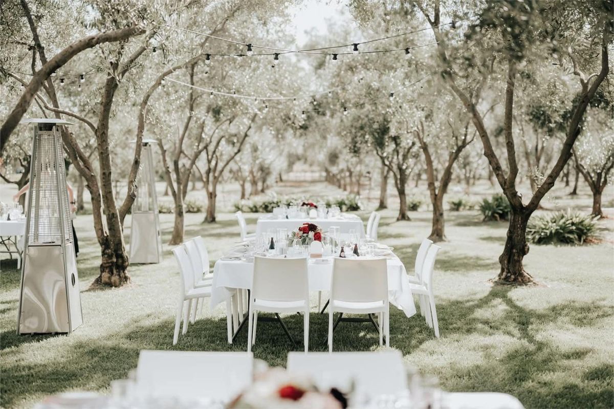 Feast Beneath the Olive Trees!