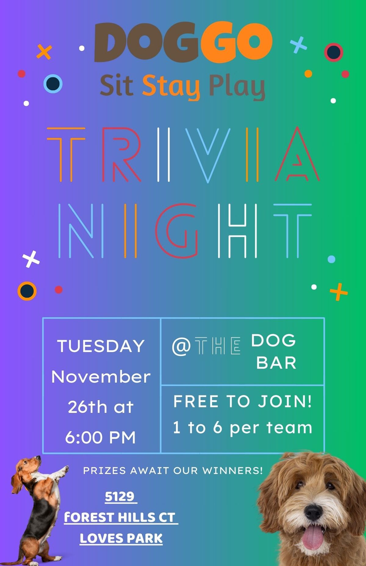 Trivia Night at the Indoor Dog Park