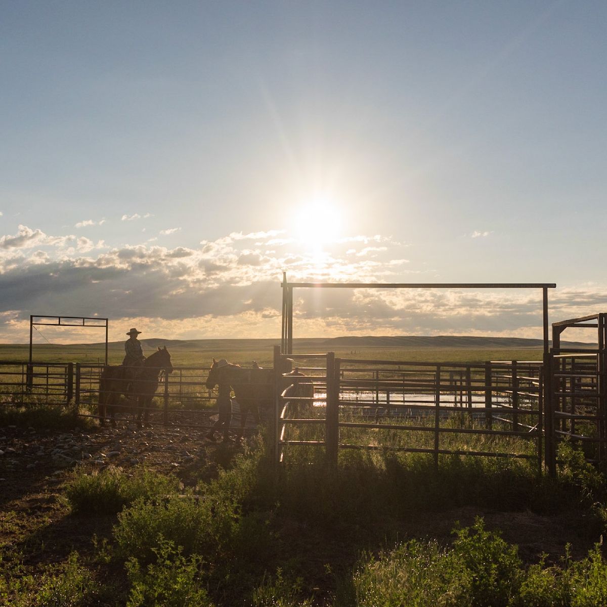 Ranch Management Weekends | 777 Bison Ranch