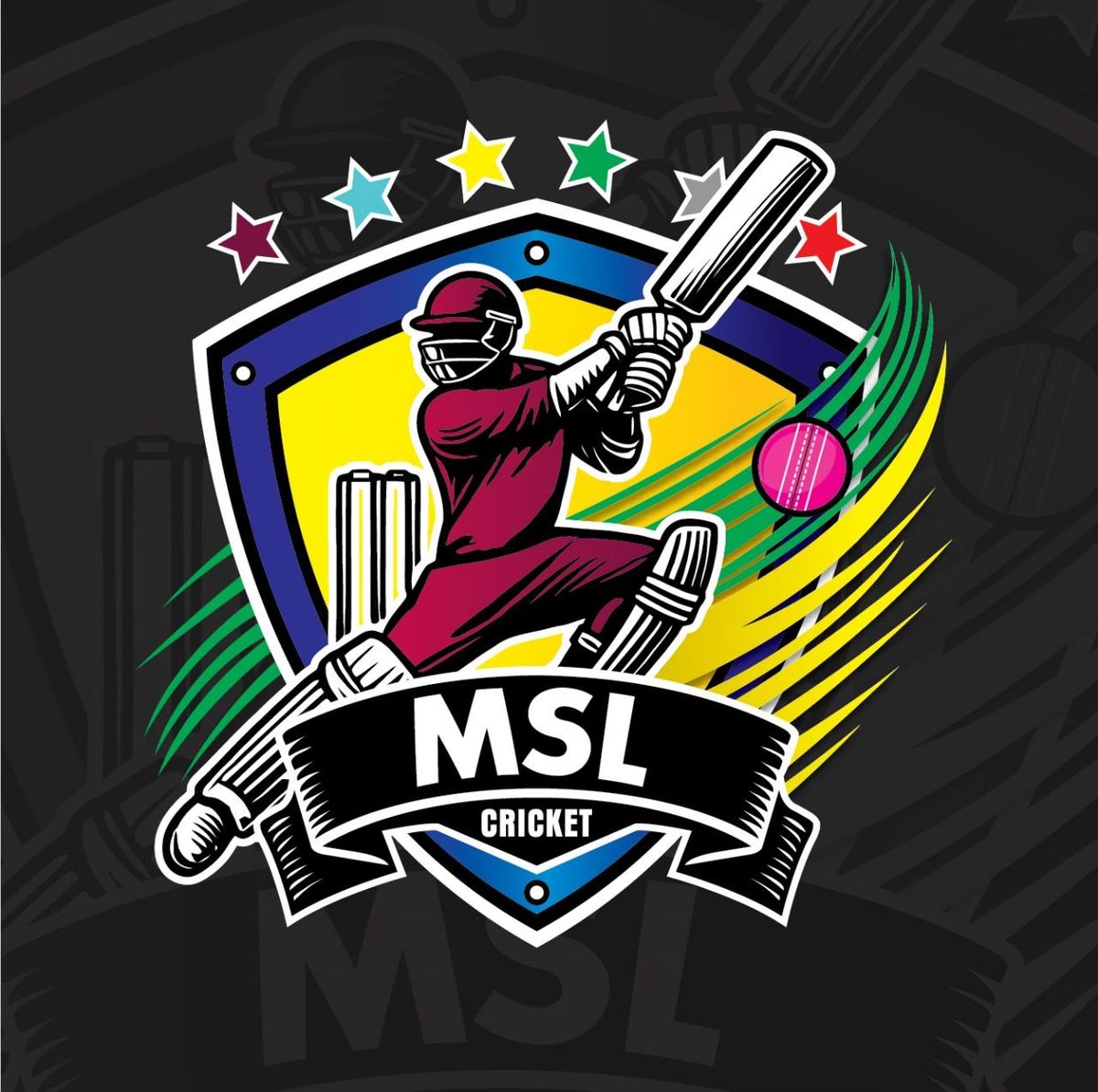 MSL Cricket Youth Tournament