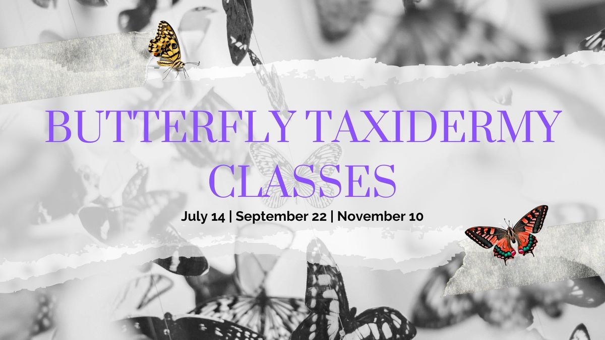 Butterfly Taxidermy Class