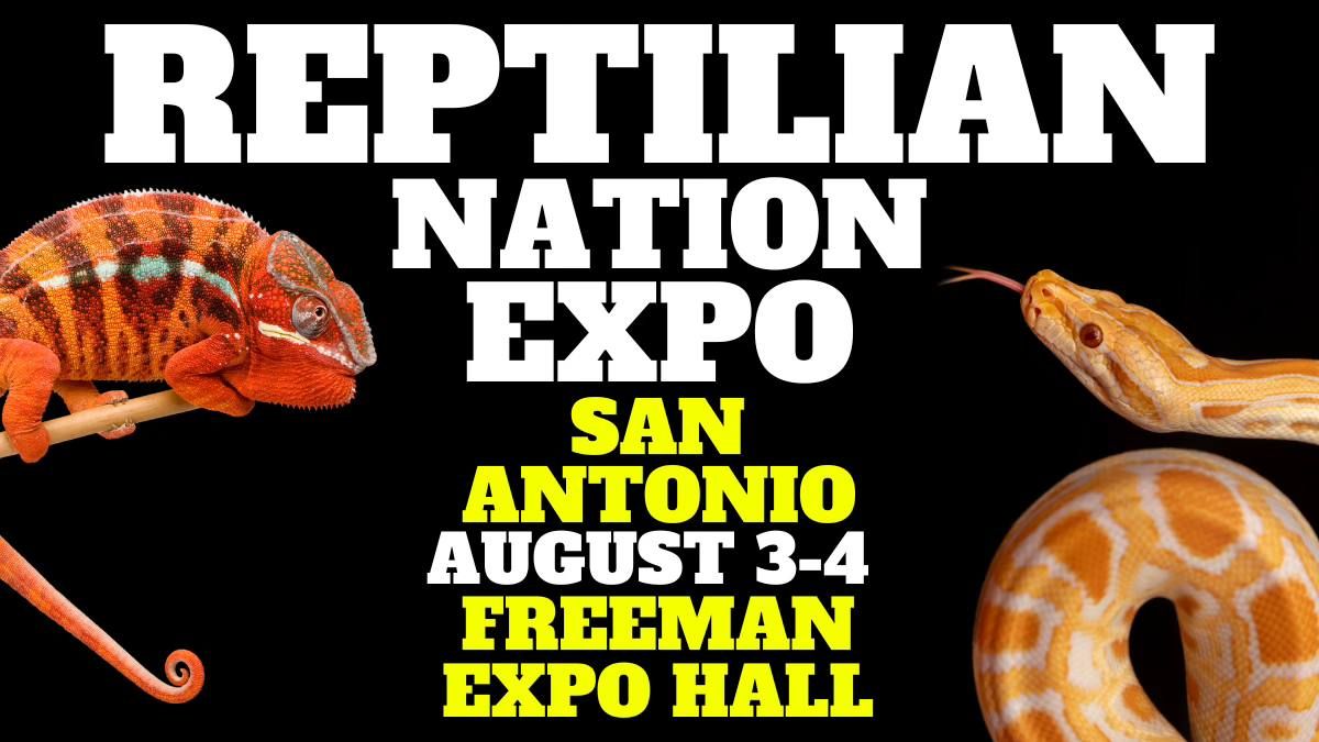 Reptilian Nation Expo -San Antonio