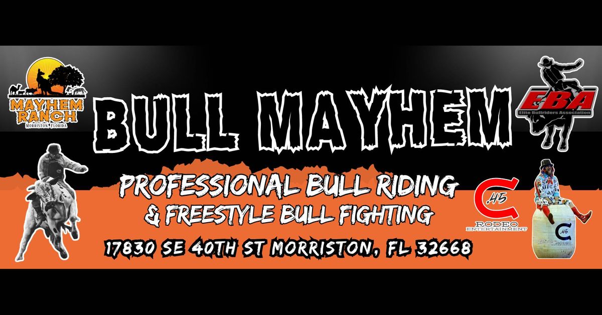 BULL MAYHEM  