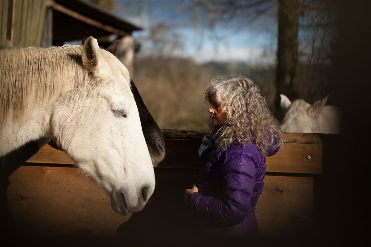 Animal Communication Skills Workshop