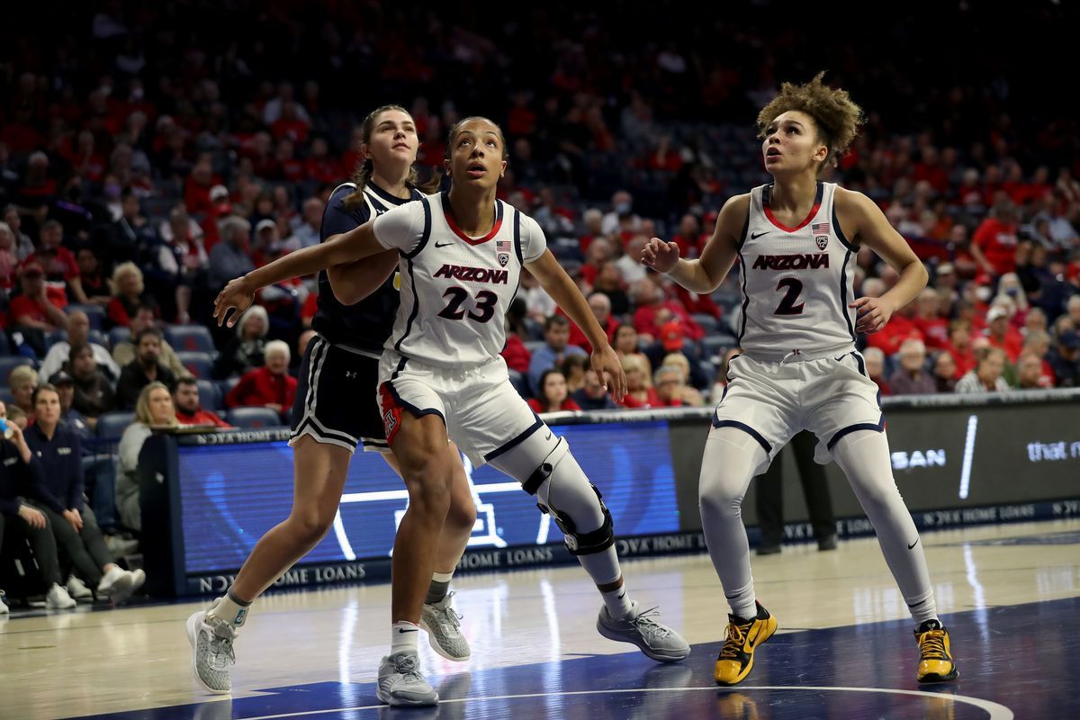 Arizona Wildcats at UC San Diego Tritons Womens Basketball