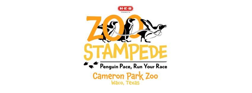 H-E-B Zoo Stampede