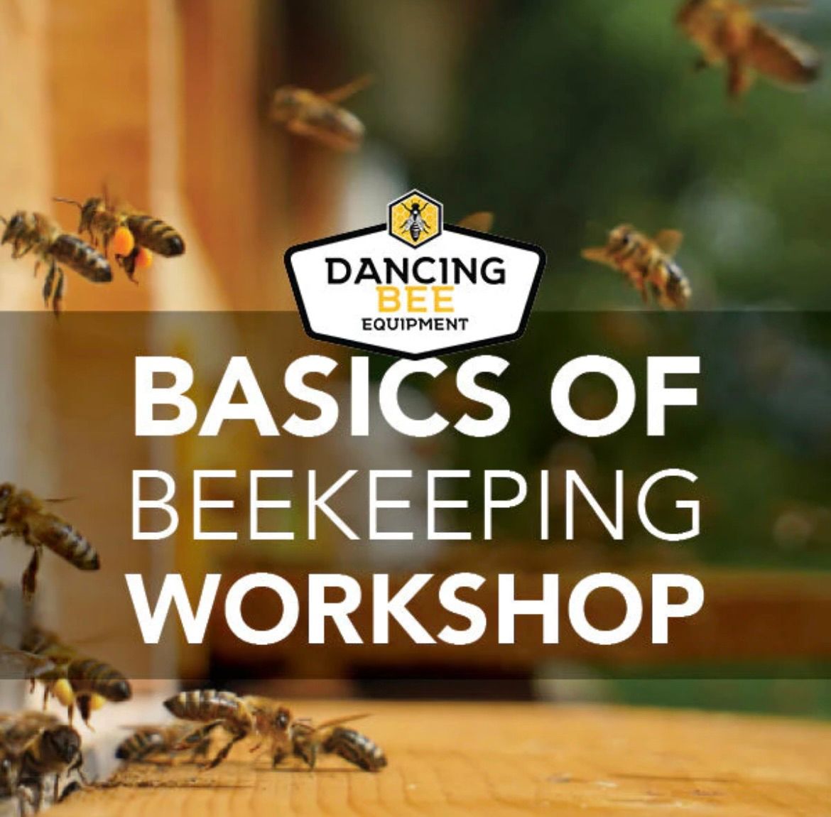 Basics of Beekeeping Workshop Saturday November 16th 1:30pm