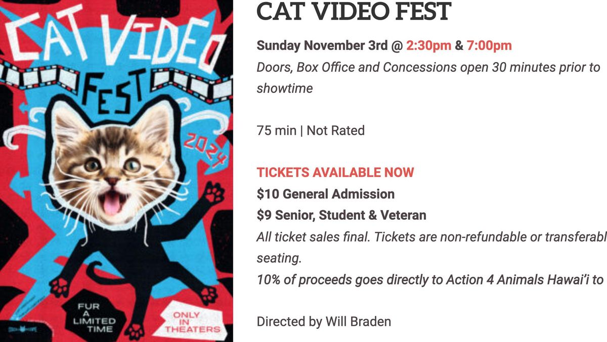 Palace Theater's Cat Video Fest