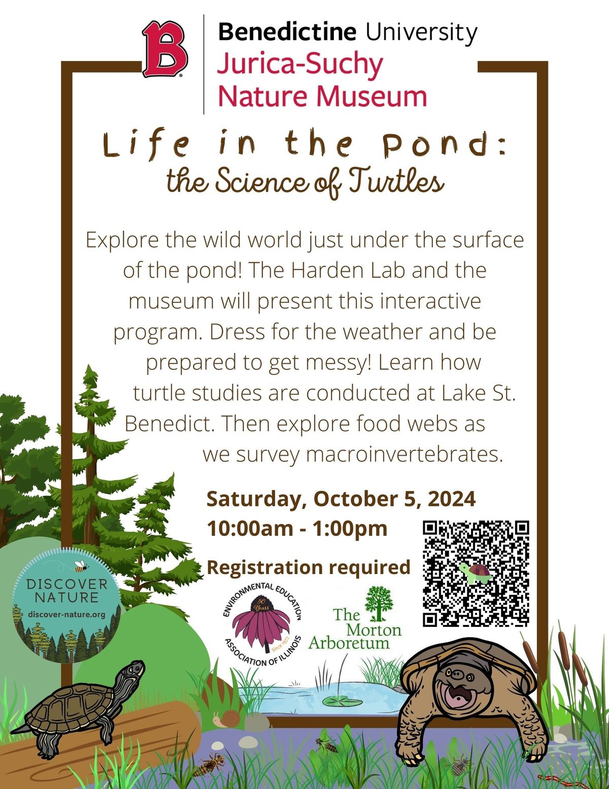 Life in the Pond: Science of Turtles