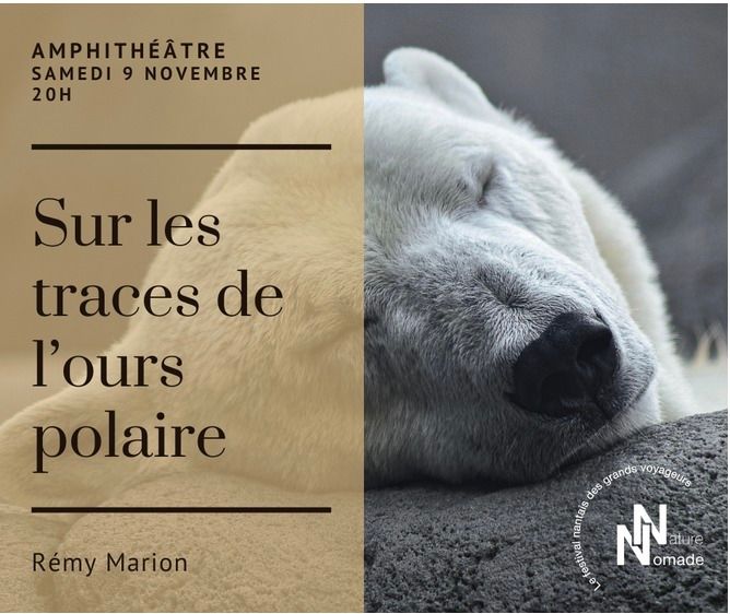 Sur les traces de l\u2019ours polaire - rencontre avec R\u00e9my Marion \/\/ FESTIVAL NATURE NOMADE