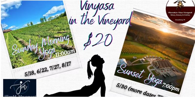 Vinyasa in the Vineyard