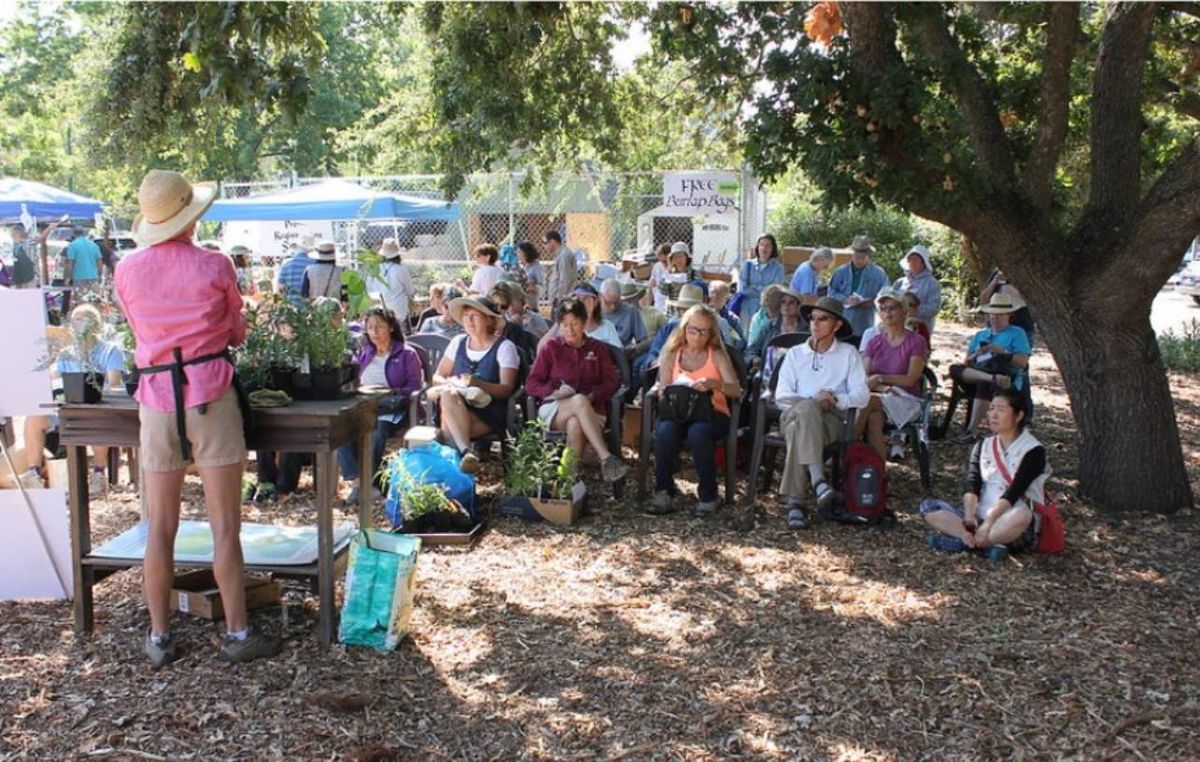 Trees: an In-person Garden Talk in Walnut Creek