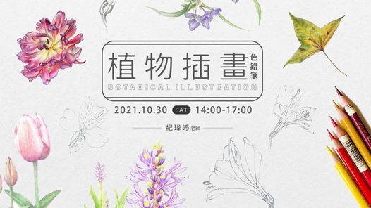 十月課程 植物色鉛筆插畫 紀瑋婷老師 響art Taipei 30 October 21