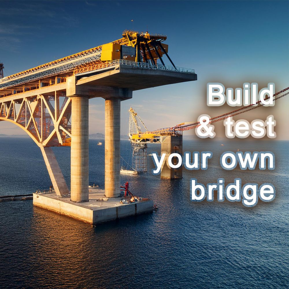 Homeschool - Build and Test Your Own Bridge