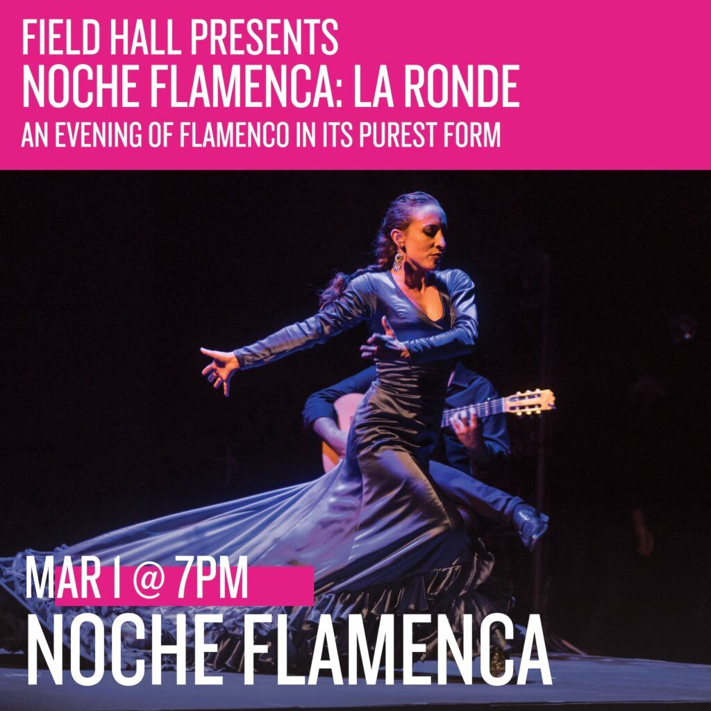 Noche Flamenca