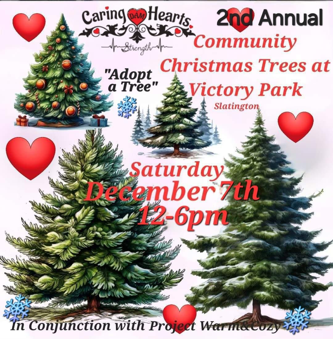 2nd Annual "Adopt a Tree" Community Christmas Tree's at Victory Park 