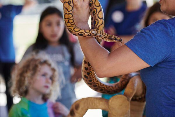 FREE EVENT! Connect with Creature Connection! Meet our animal ambassadors! 