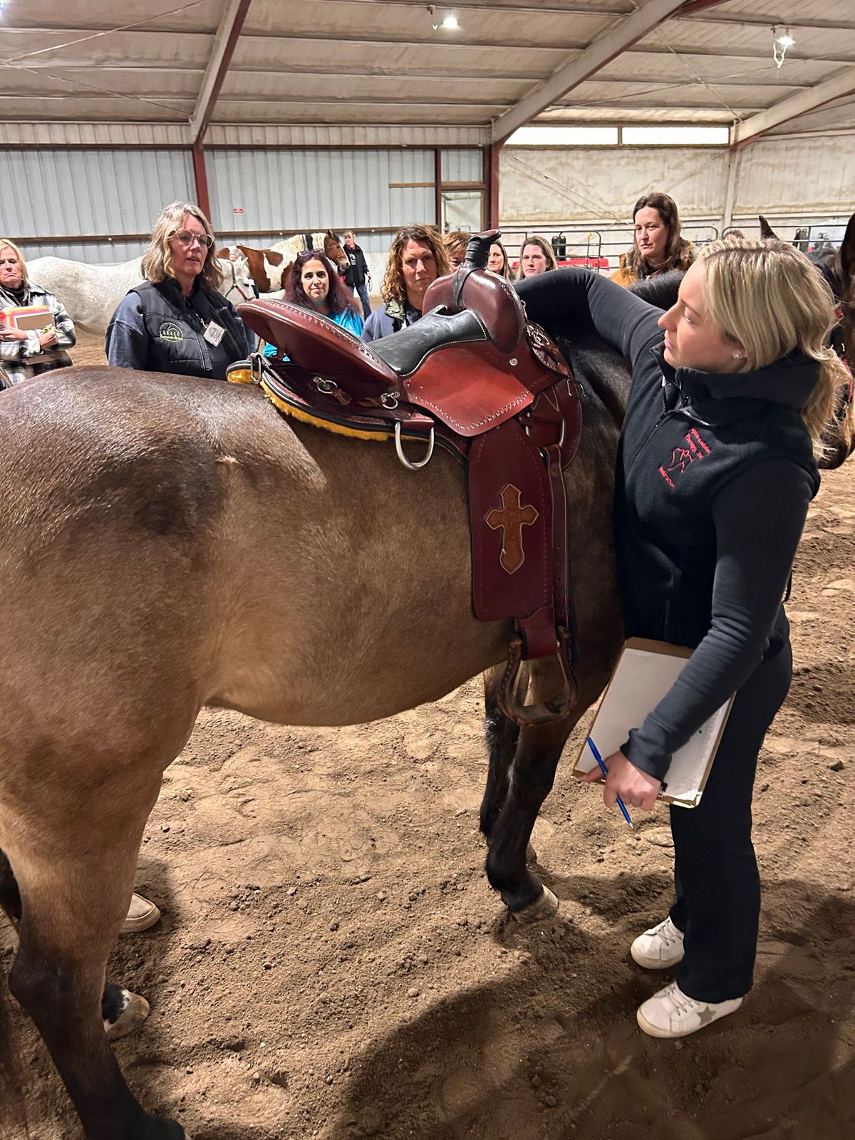 Practical Saddle Fit Workshop