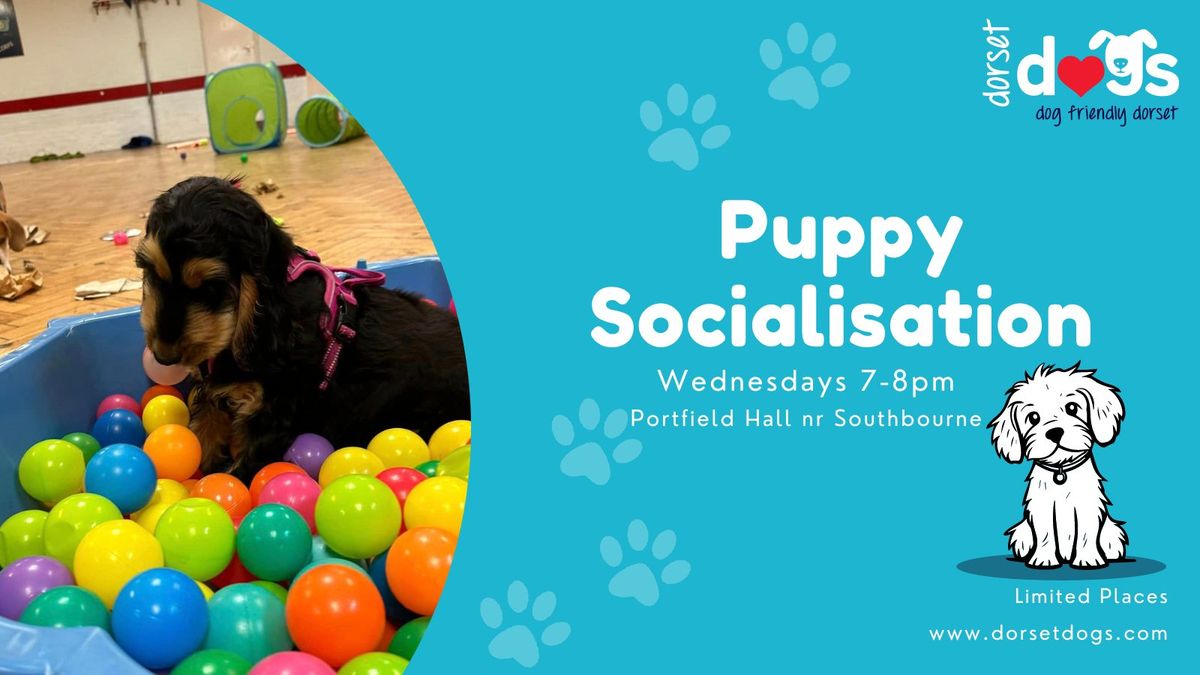 PUPPY SOCIALISATION CLASSES Wednesday evenings in October<3