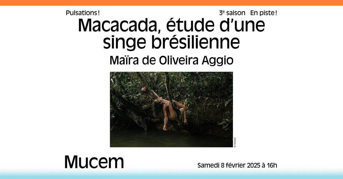 Macacada, \u00e9tude d\u2019une singe br\u00e9silienne | Pulsations ! 