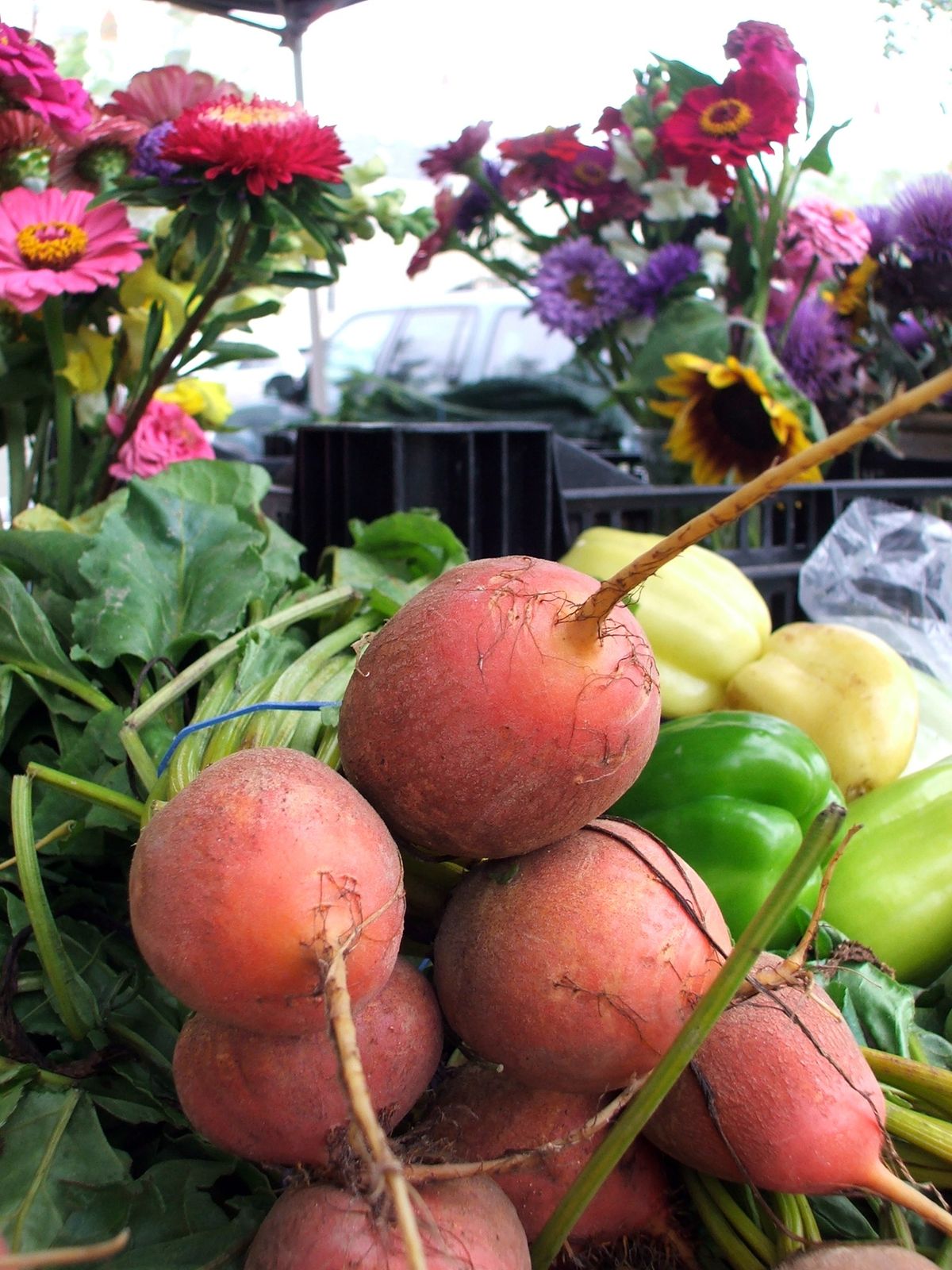 Outdoor Mini Market