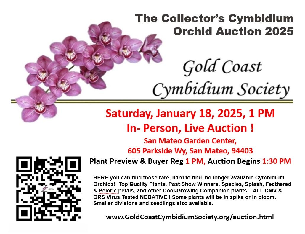 The 2025 Cymbidium Collector's Orchid Auction