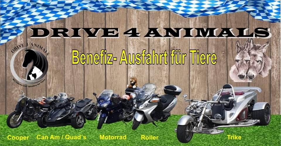 Drive4Animals 2024 Mega Benefiz- Tour