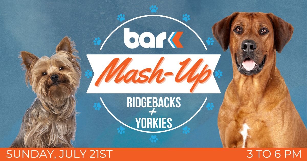 Breed Mash-up: Ridgebacks & Yorkies 