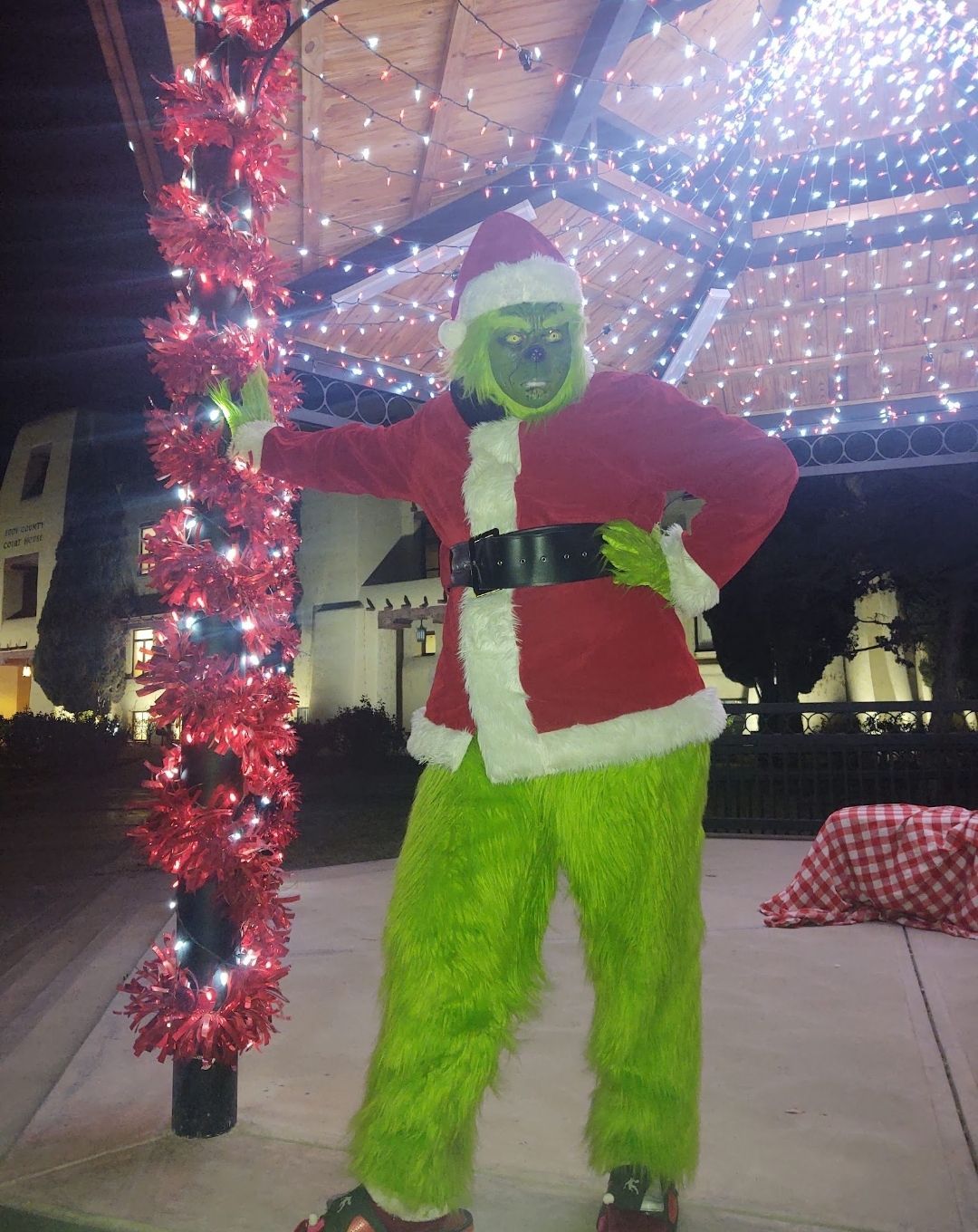 Santa and Grinch photos