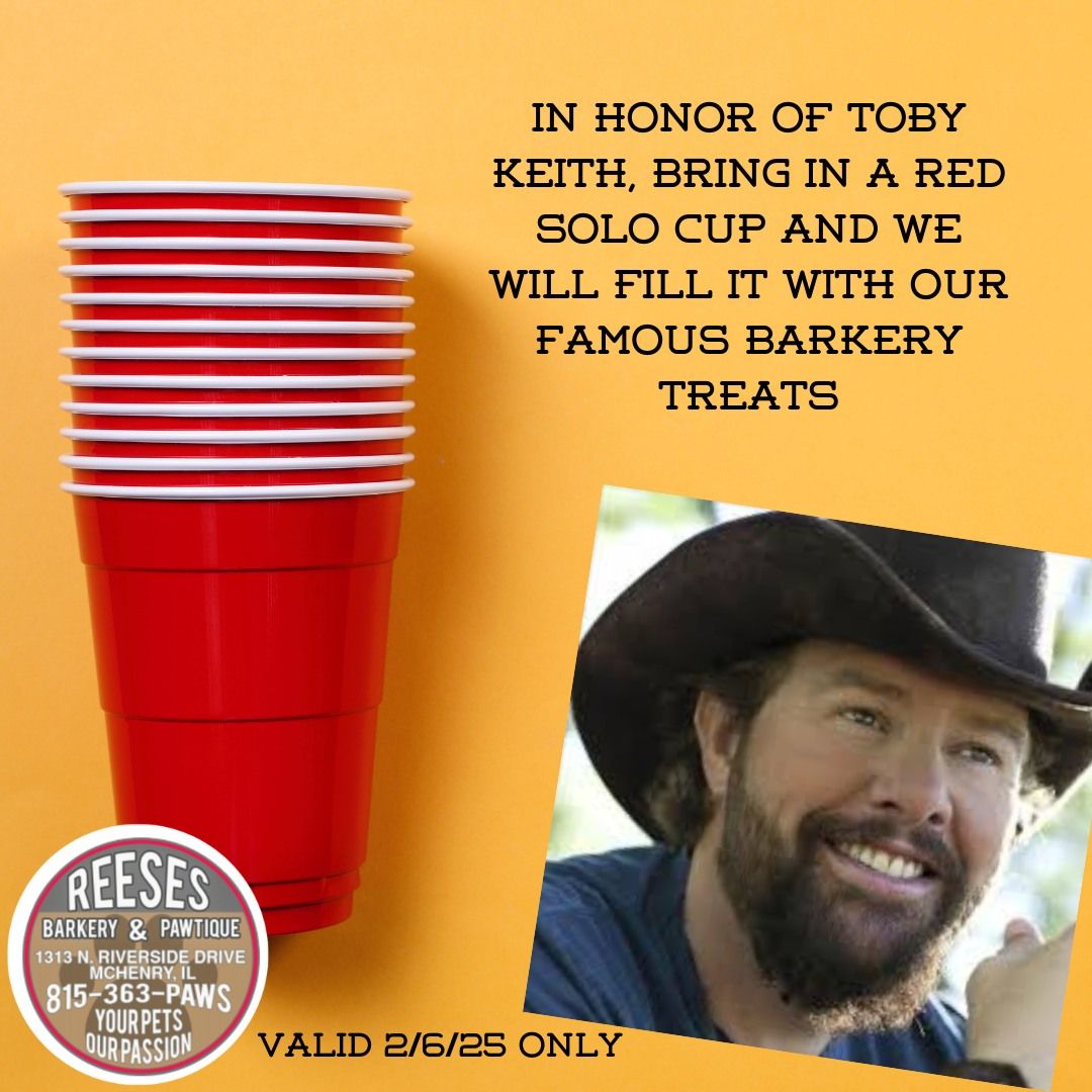 Red Solo Cup Day