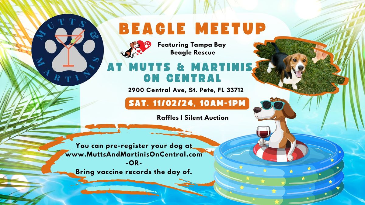 Beagle Meet Up at Mutts & Martinis with Tampa Bay Beagle Rescue