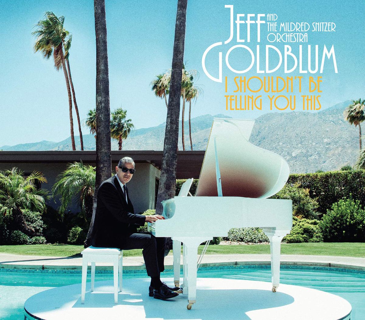 Jeff Goldblum and The Mildred Snitzer Orchestra