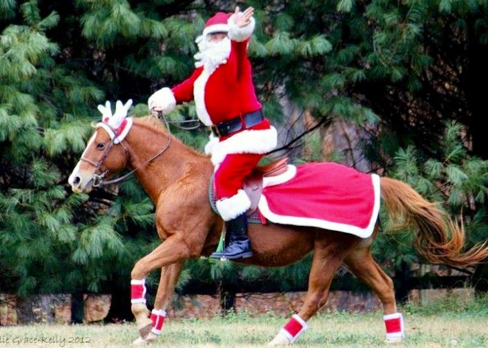 REC CHRISTMAS SHOWJUMPING COMPETITION 