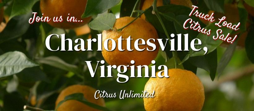 Citrus Sale - Coming to Charlottesville, VA from 9:00 - 10:00 am at Seminole Square Mall