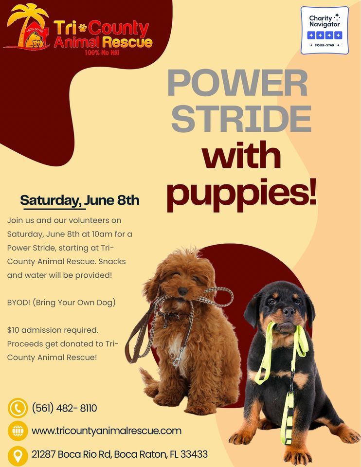 Power Stride with Puppies