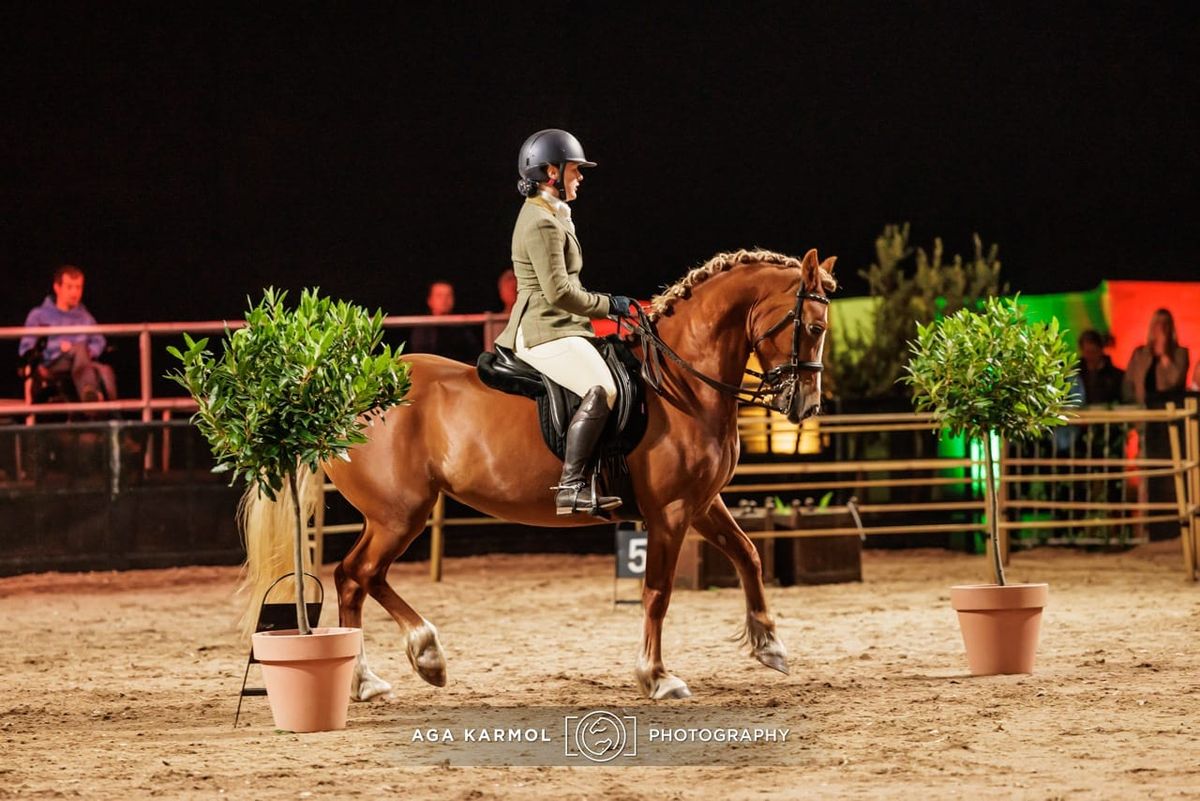 Working Equitation Clinic