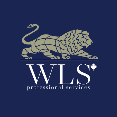 WLS Professional Services