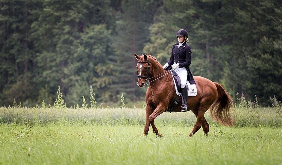 Anita Arposen istuntavalmennukset