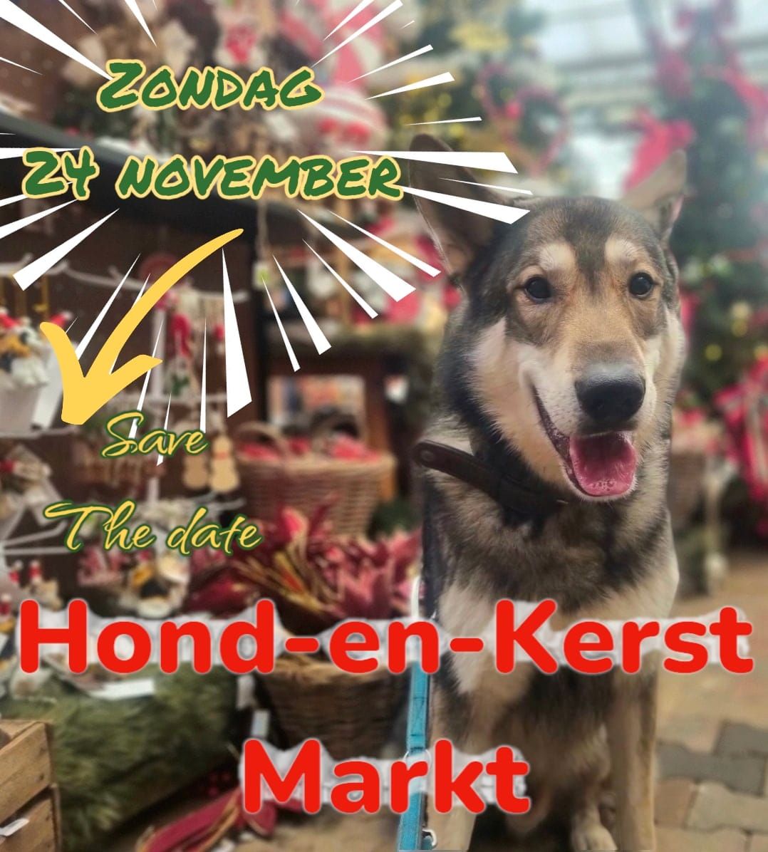 Hond-en-Kerst Markt